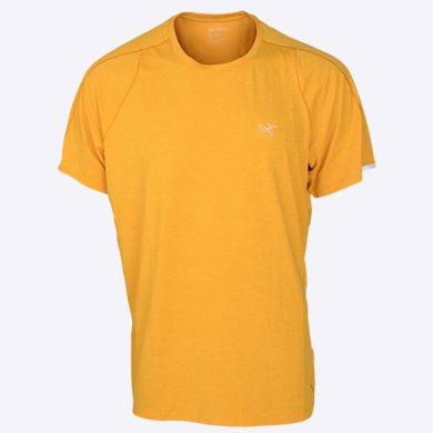 02M-ARX-20200317-15518