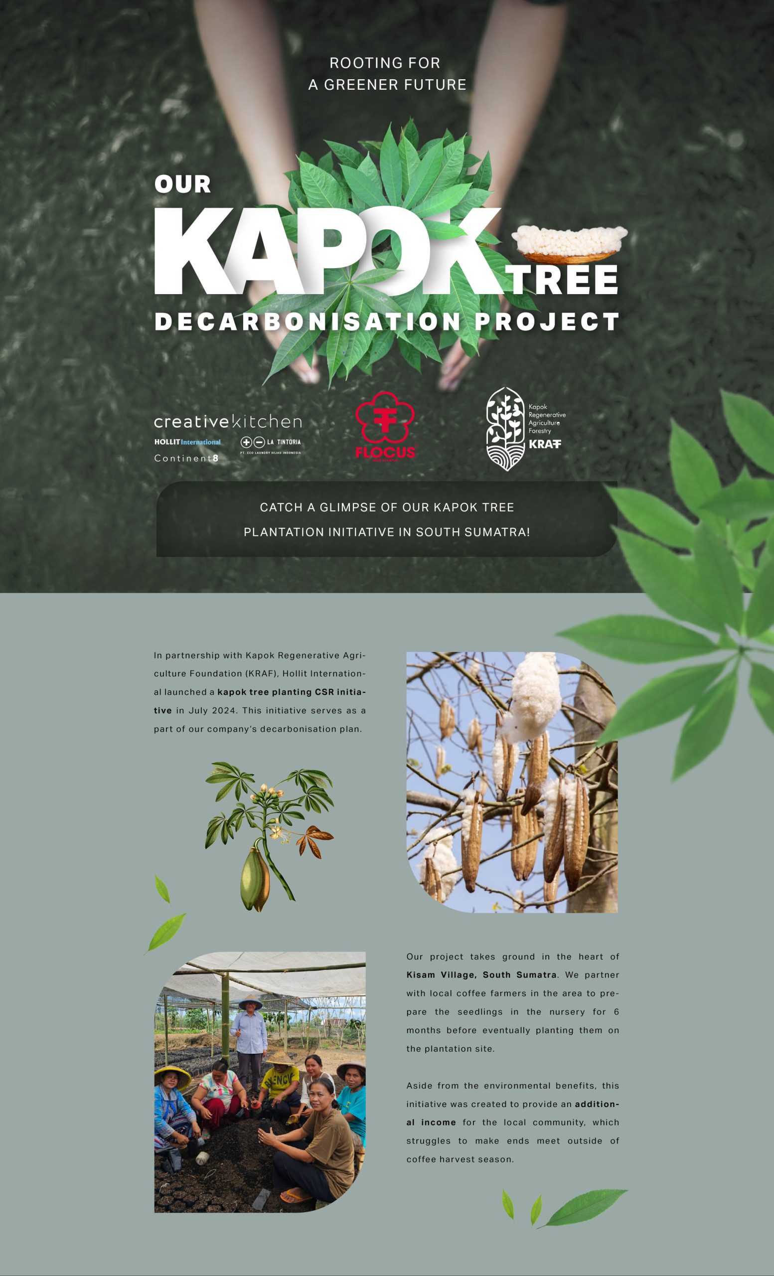 Kapok plantation-01